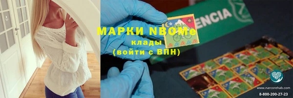 стаф Алексин