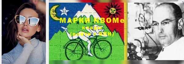 стаф Алексин